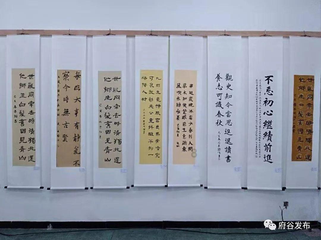 非常看好海南黎药发展前景
